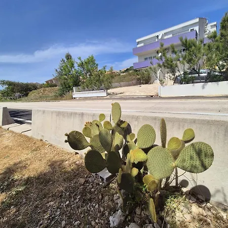 Perla Daire Dinjiška